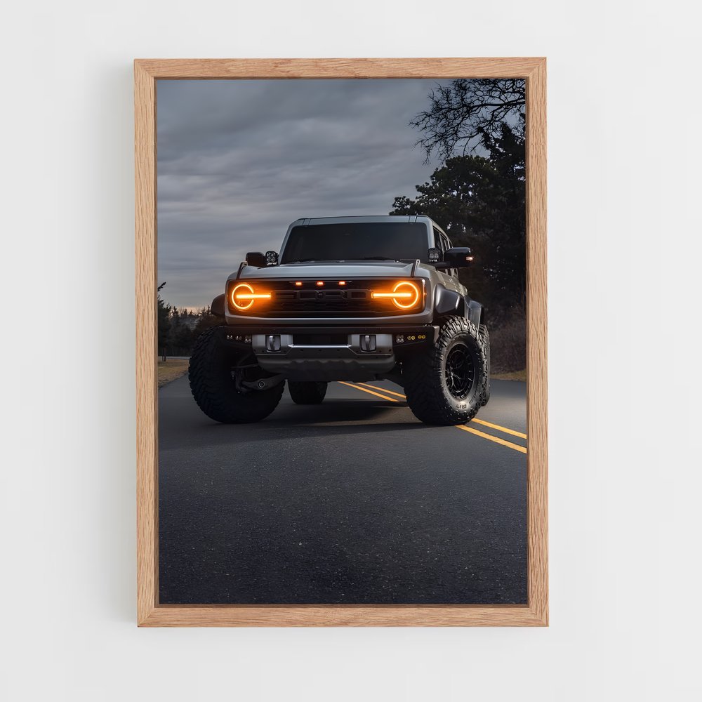 Poster Raptor Noir – affiche Ford (vue 4)